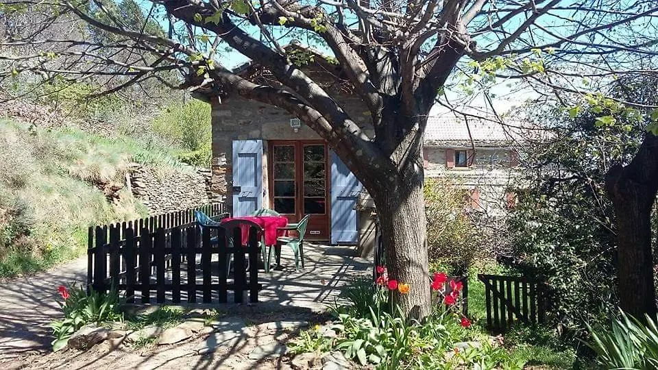 Gîte du tilleul ,domaine de l'olivier Faugeres  France